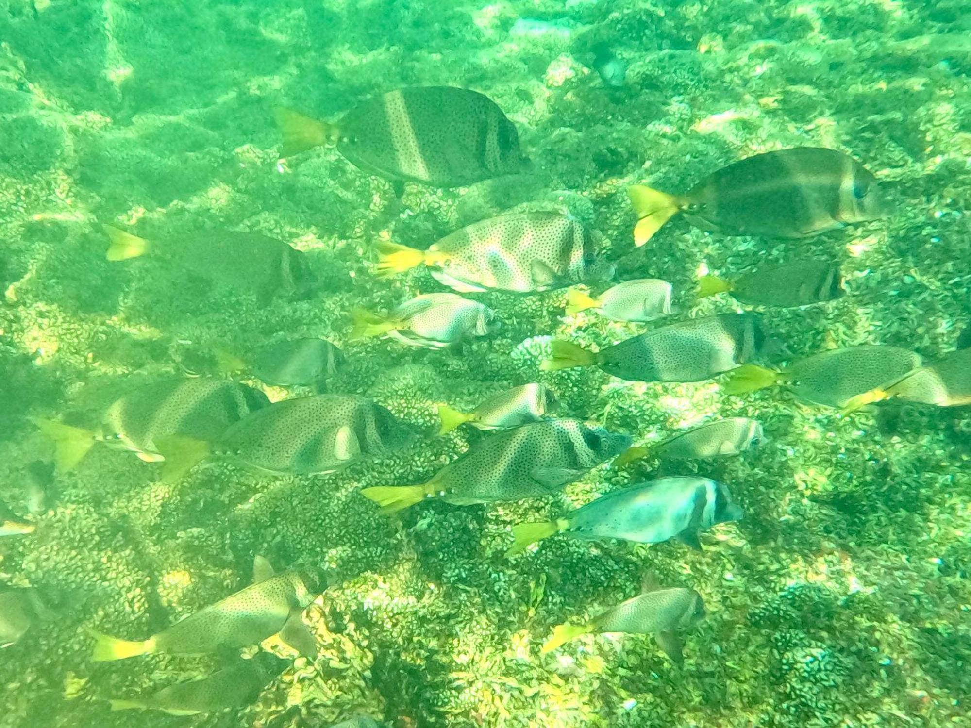 Agua Azul La Villa サンタ・クルス・ウアトゥルコ エクステリア 写真